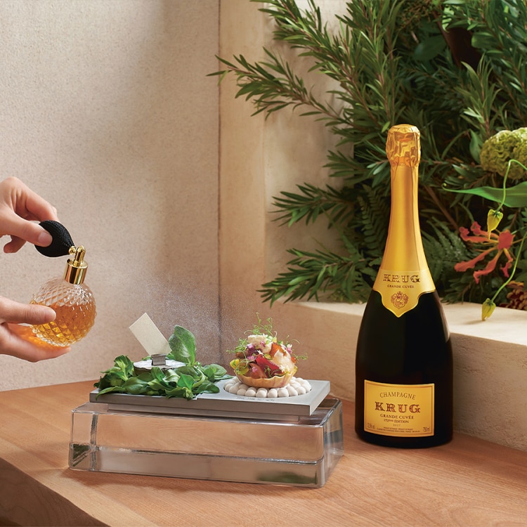 Krug Grande Cuvée 164ème Édition | クリュッグ シャンパン